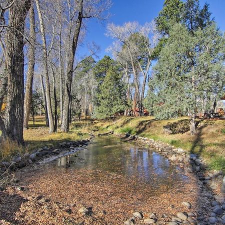 Cozy Colorado Cabin With Deck, Grill And River Access! Buena Vista Εξωτερικό φωτογραφία