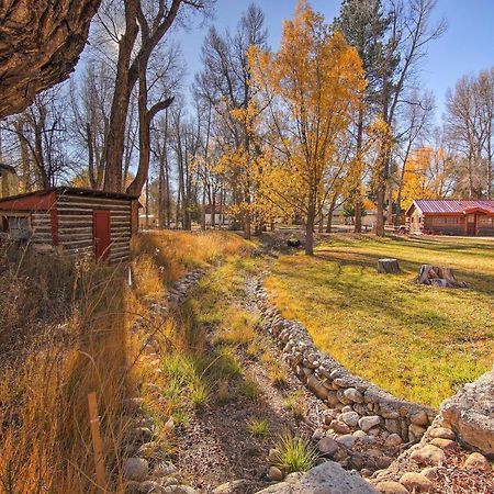 Cozy Colorado Cabin With Deck, Grill And River Access! Buena Vista Εξωτερικό φωτογραφία
