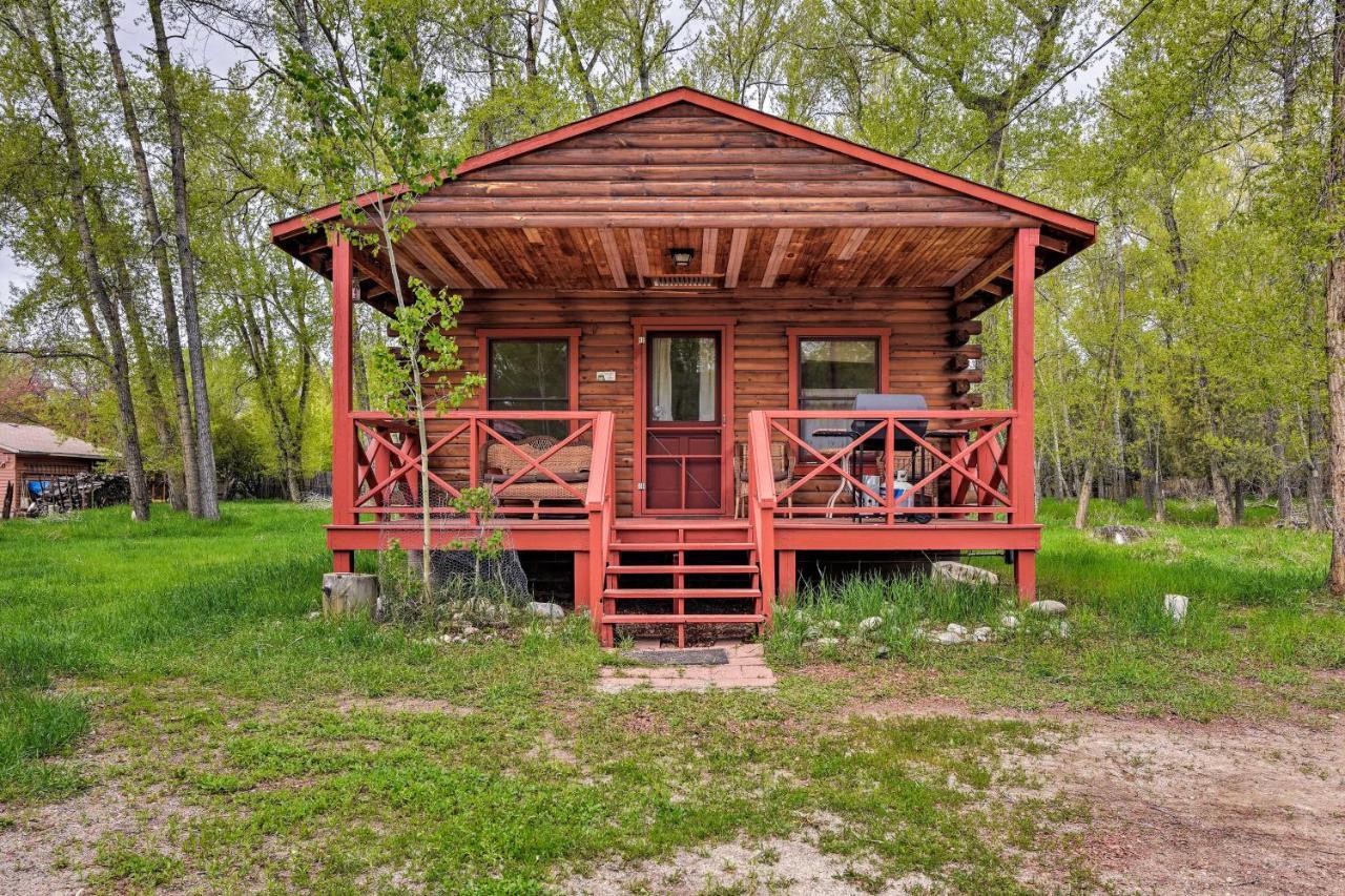 Cozy Colorado Cabin With Deck, Grill And River Access! Buena Vista Εξωτερικό φωτογραφία