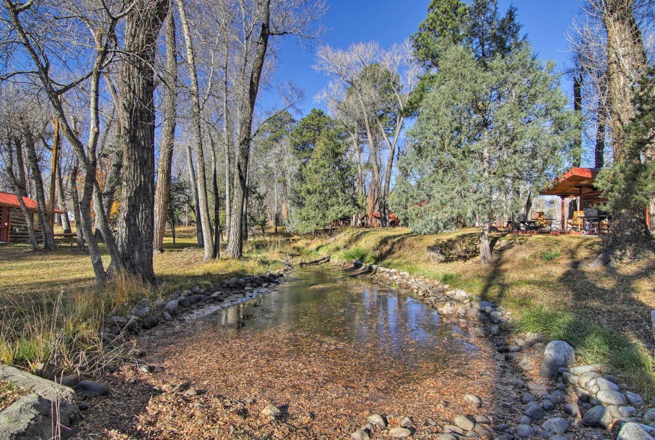 Cozy Colorado Cabin With Deck, Grill And River Access! Buena Vista Εξωτερικό φωτογραφία