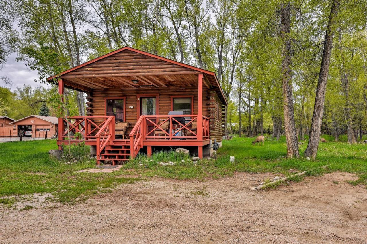 Cozy Colorado Cabin With Deck, Grill And River Access! Buena Vista Εξωτερικό φωτογραφία