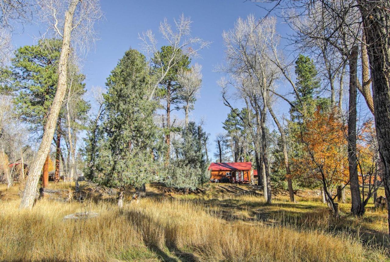 Cozy Colorado Cabin With Deck, Grill And River Access! Buena Vista Εξωτερικό φωτογραφία